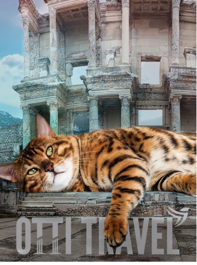 Ephesus Content